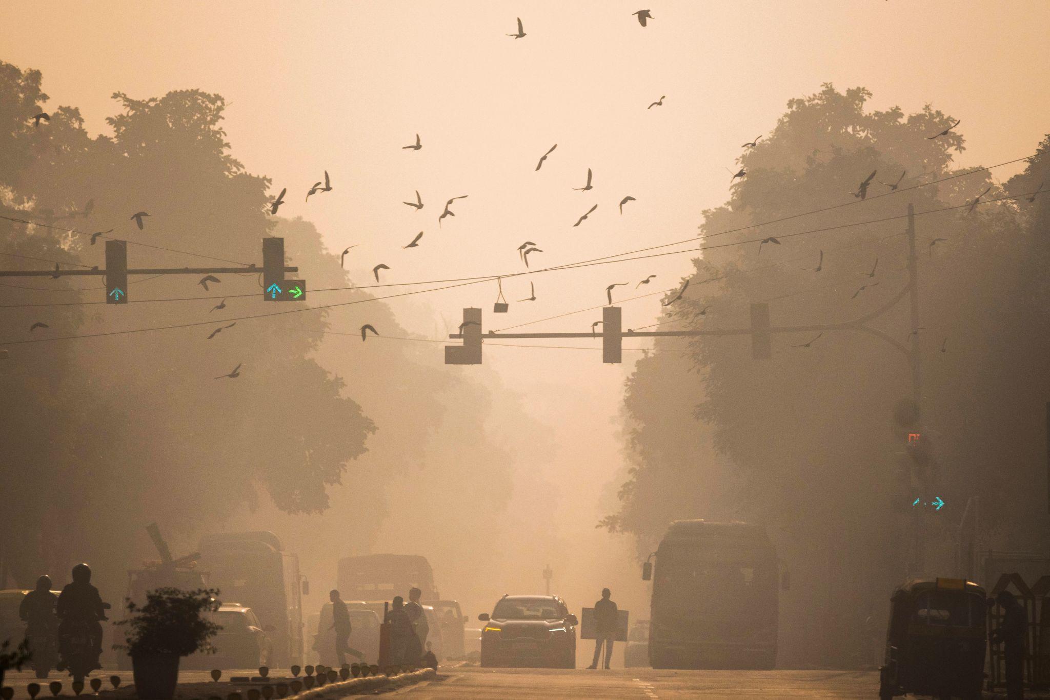 air quality delhi pollution smog