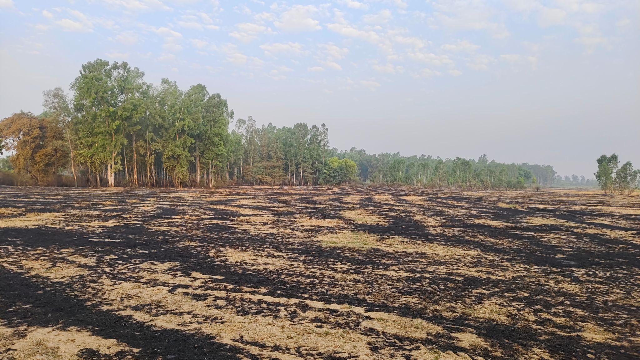 satellite fire detection limitation