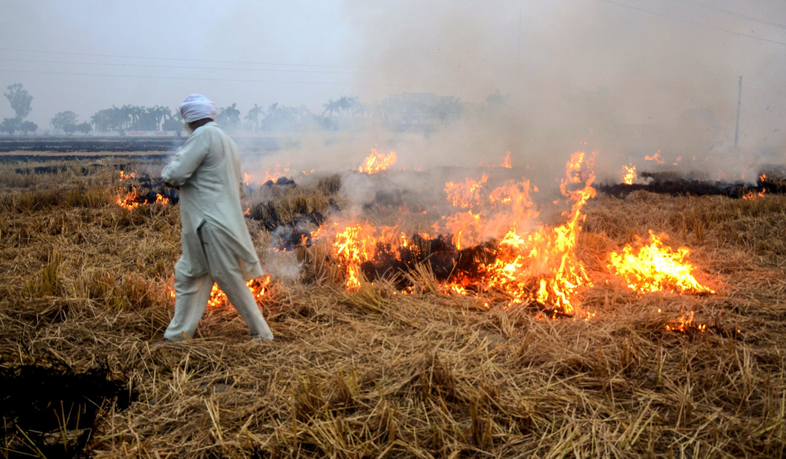 stubble burning punjab india